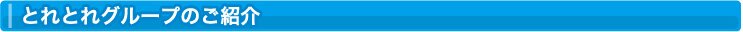 とれとれグループのご紹介