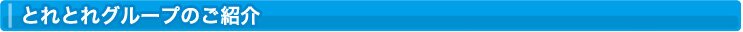 とれとれグループのご紹介
